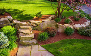 Garden Design - Landscaping