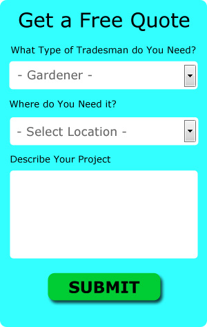 Newington Gardener - Find a Decent One