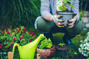 Garden Maintenance Barton