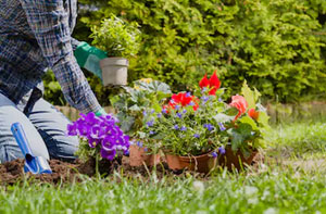 Garden Maintenance Archway