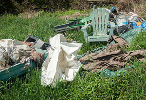 Garden Clearance Thornhill