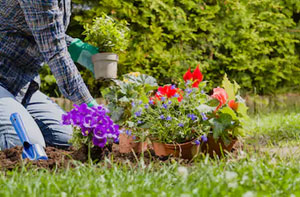 Garden Maintenance Radstock
