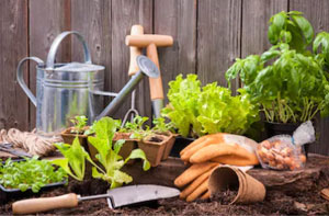 Garden Maintenance Broad Oak