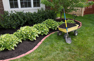 Gardener Crowborough in East Sussex
