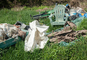 Garden Clearance Windle Garden Clearance Windle